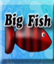 Big Fish