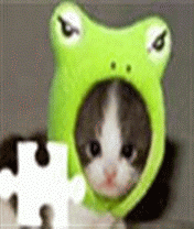 Cutest Kittens Jigsaw