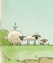 Home Sheep Home